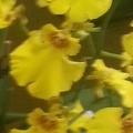 20130301_093531.jpg