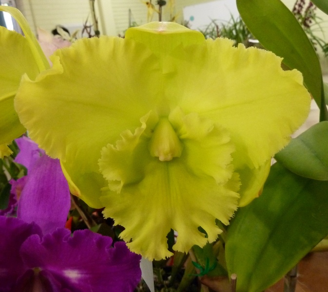 Rlc. Karen's Sunrise.JPG