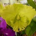 Rlc. Karen's Sunrise.JPG