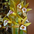 Phaius [Phaius.] wallichii.JPG