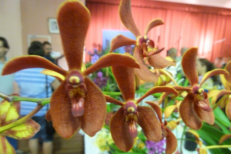 Rnps. Lena Rowold x V. Bruner..JPG