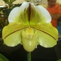 Paph. Global Passport.JPG