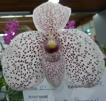 Vanda M. Pearman