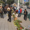 Chongqing, China. Orchid Market