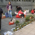 Chongqing, China. Orchid Market