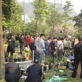 Chongqing, China. Orchid Market